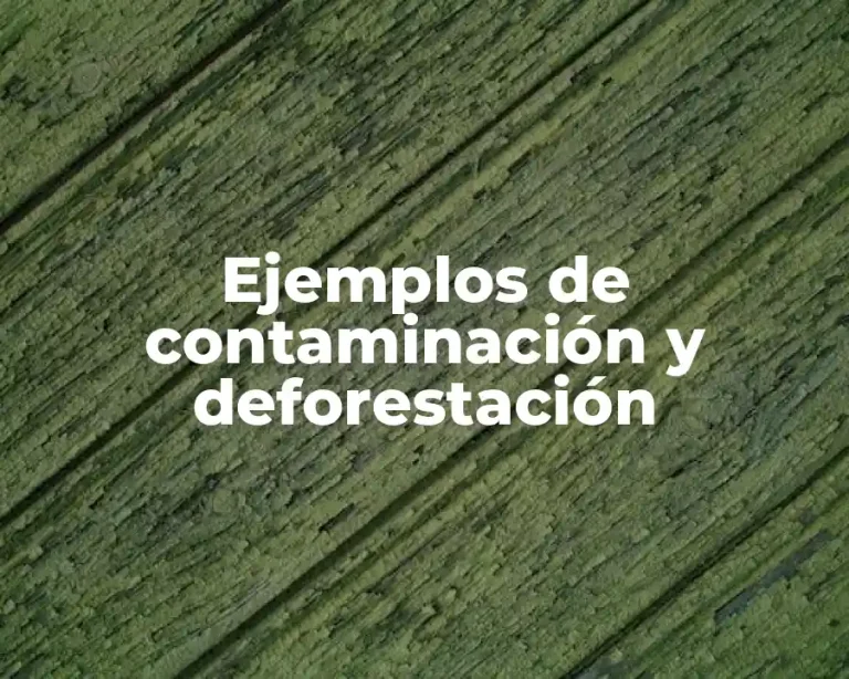 Ejemplos de contaminación y deforestación
