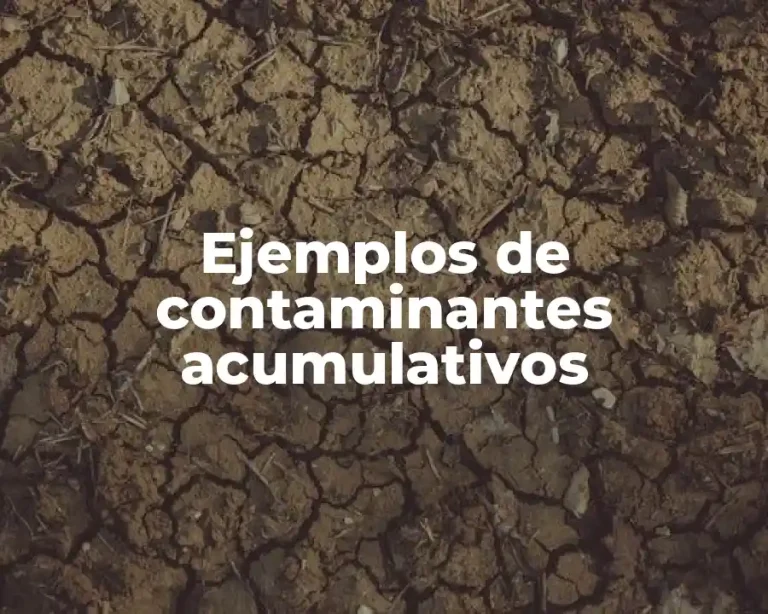 Ejemplos de contaminantes acumulativos