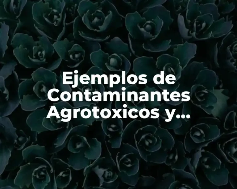 Ejemplos de Contaminantes Agrotoxicos y Significado