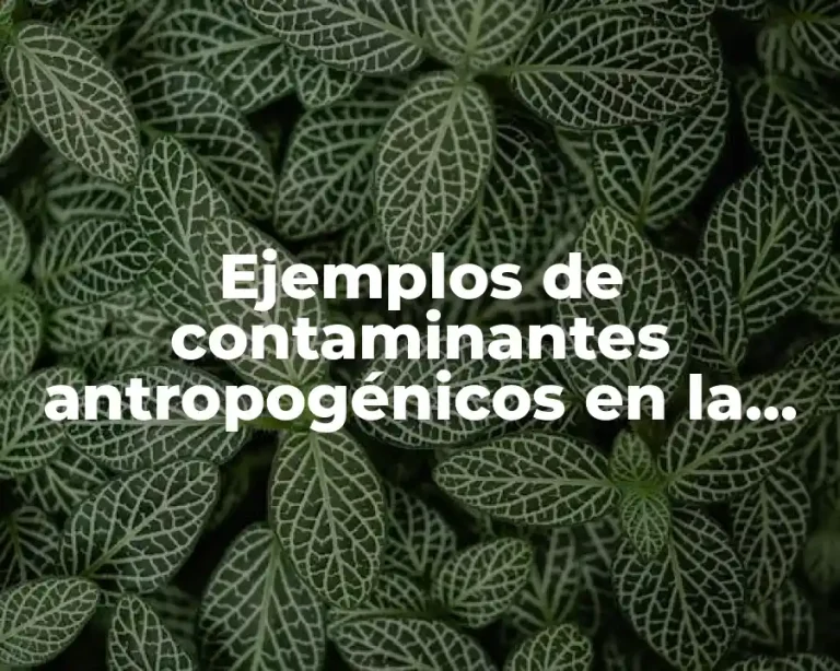 Ejemplos de contaminantes antropogénicos en la comunidad y Significado
