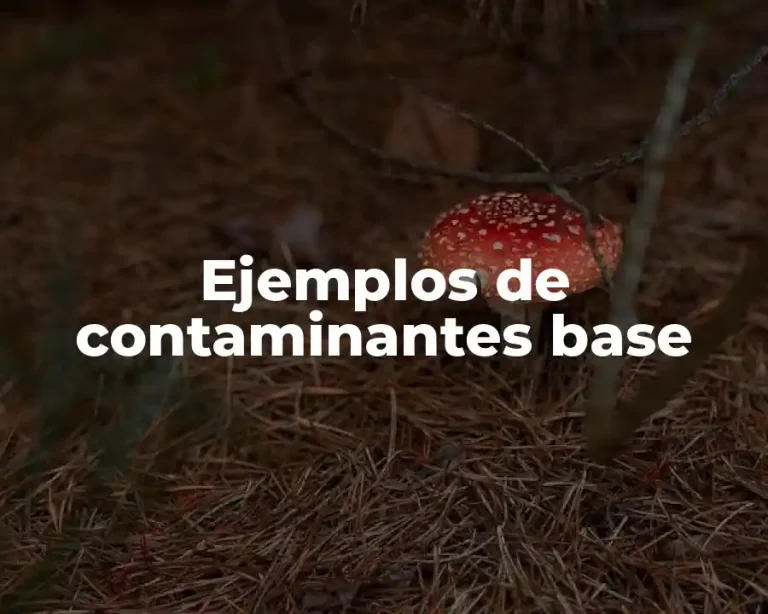 Ejemplos de contaminantes base