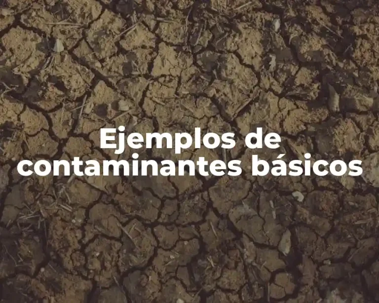 Ejemplos de contaminantes básicos