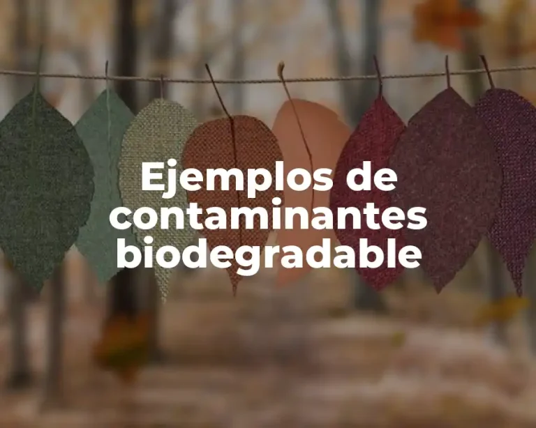 Ejemplos de contaminantes biodegradable