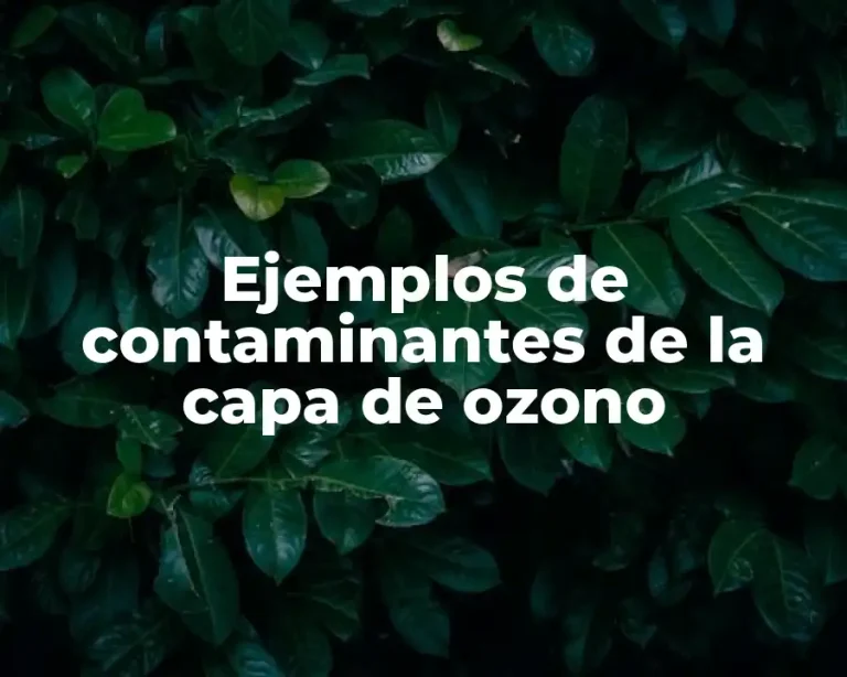 Ejemplos de contaminantes de la capa de ozono