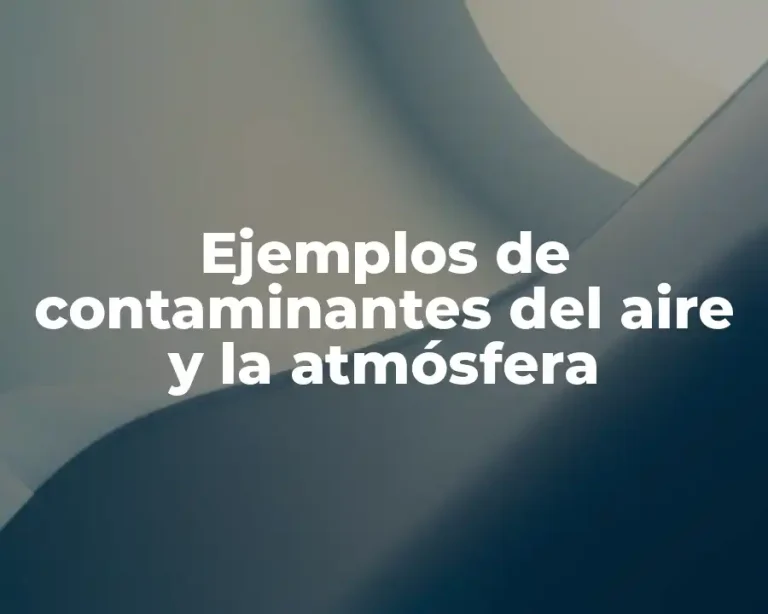 Ejemplos de contaminantes del aire y la atmósfera