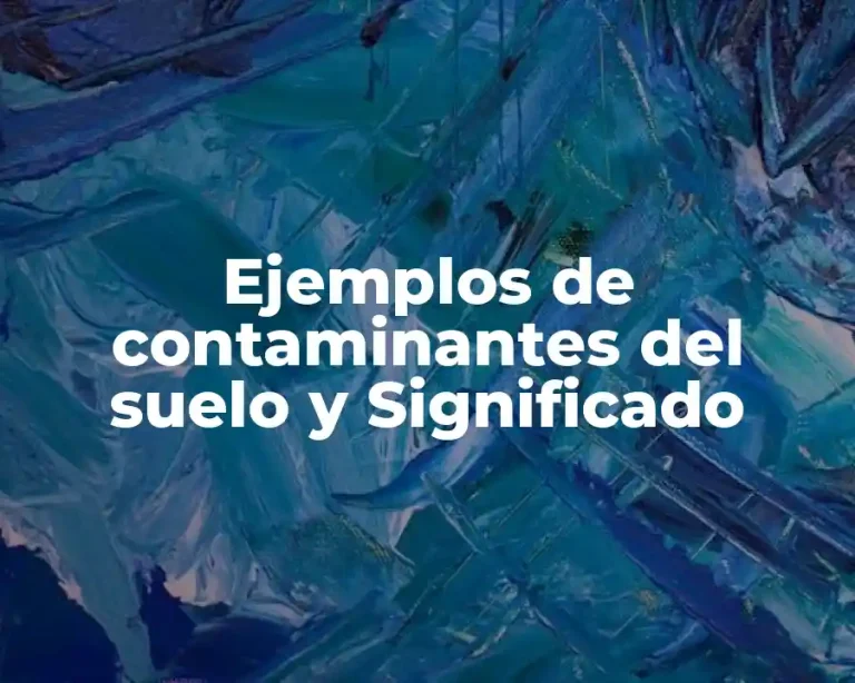 Ejemplos de contaminantes del suelo y Significado