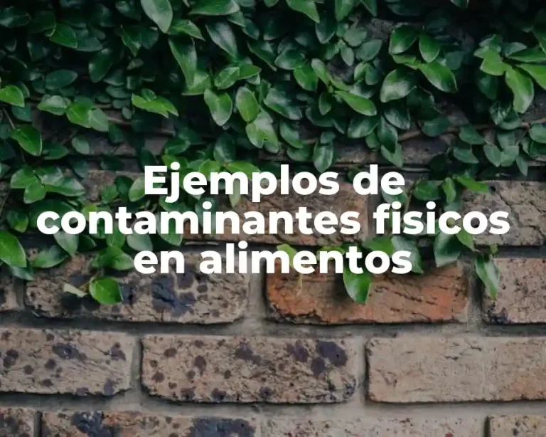 Ejemplos de contaminantes fisicos en alimentos