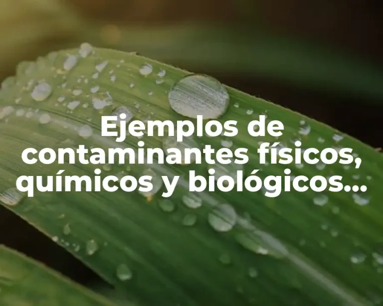 Ejemplos de contaminantes físicos, químicos y biológicos del agua