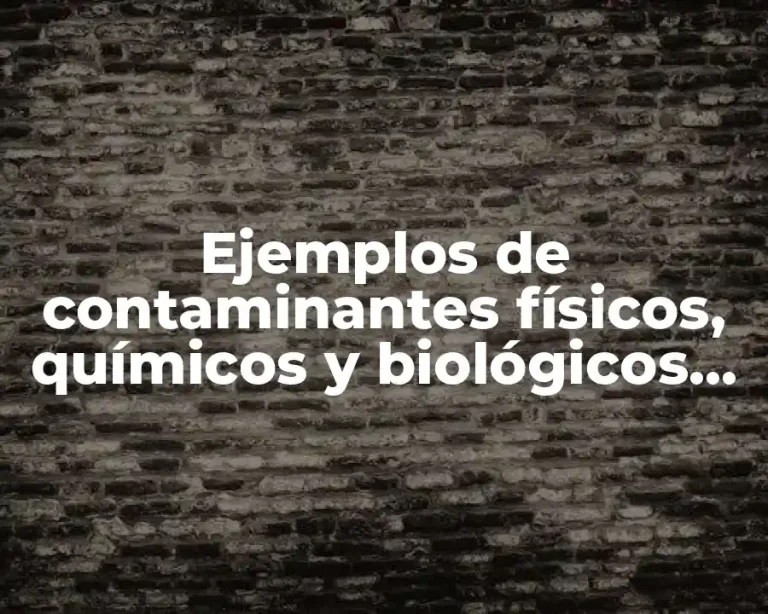 Ejemplos de contaminantes físicos, químicos y biológicos del suelo