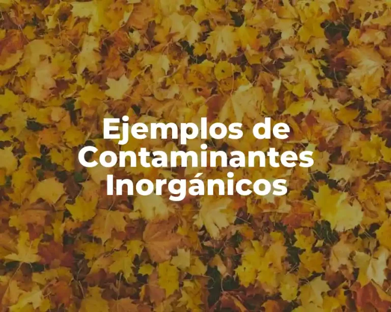 Ejemplos de Contaminantes Inorgánicos