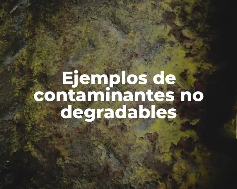 Ejemplos de contaminantes no degradables