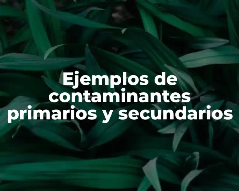 Ejemplos de contaminantes primarios y secundarios