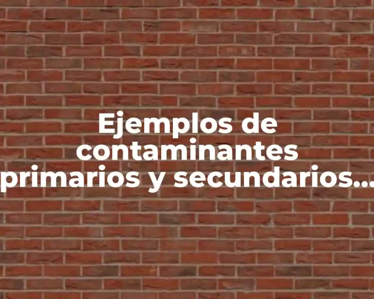 Ejemplos de contaminantes primarios y secundarios del agua