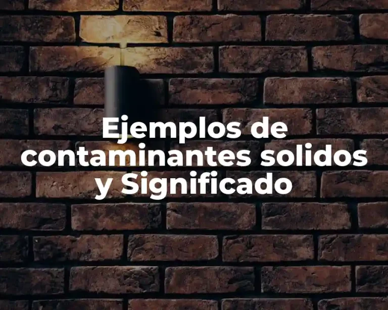 Ejemplos de contaminantes solidos y Significado