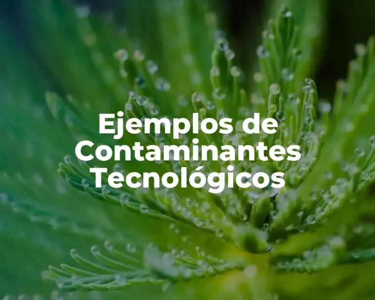 Ejemplos de Contaminantes Tecnológicos