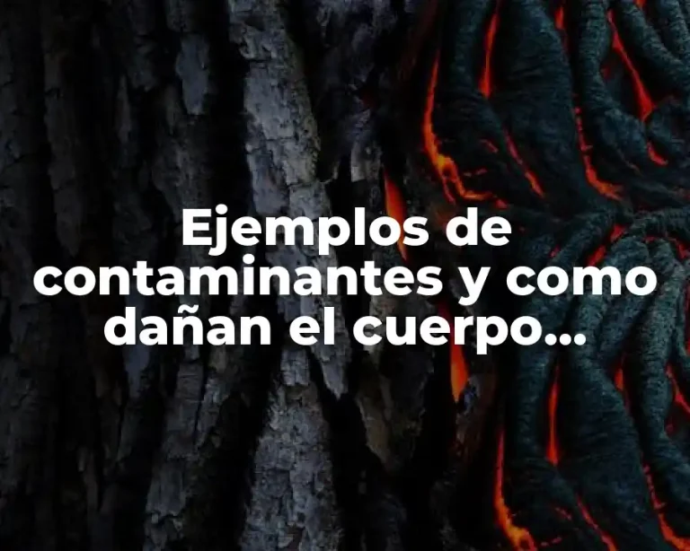 Ejemplos de contaminantes y como dañan el cuerpo humano