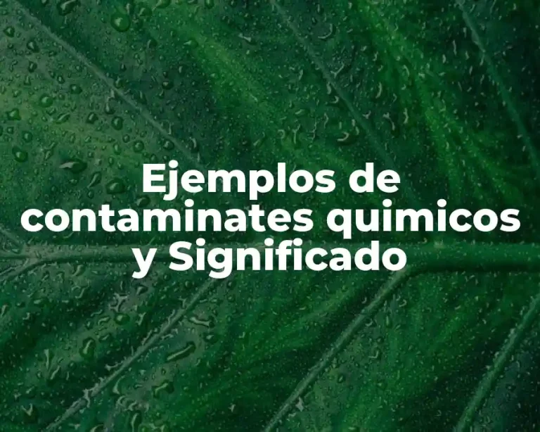 Ejemplos de contaminates quimicos y Significado