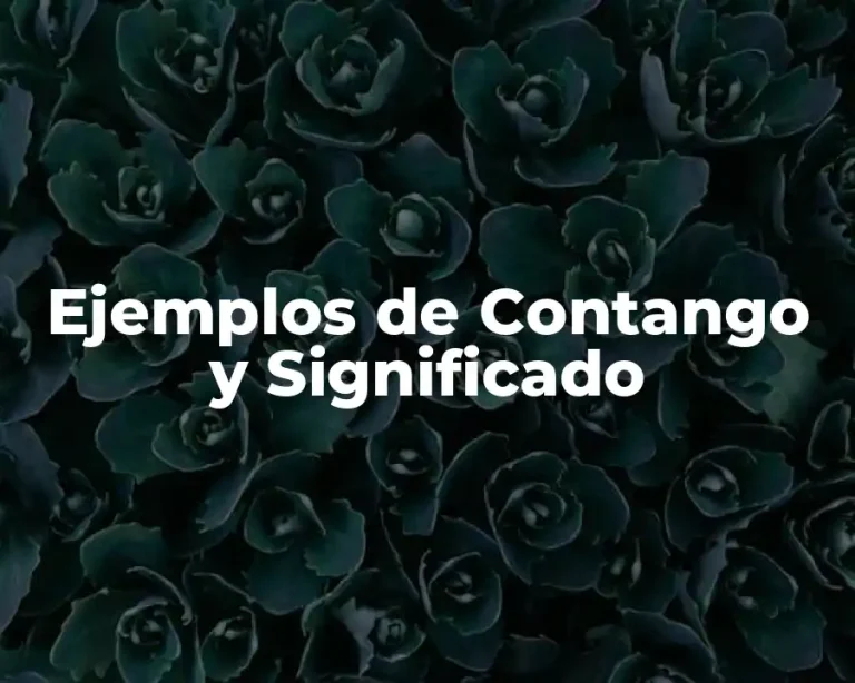 Ejemplos de Contango y Significado