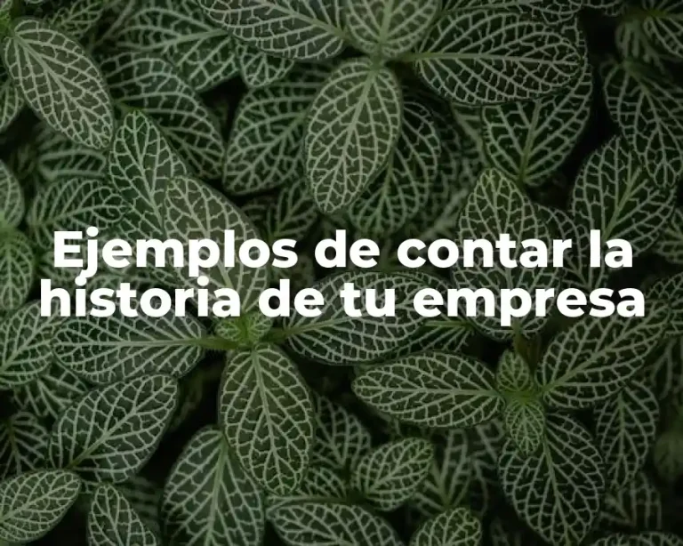 Ejemplos de contar la historia de tu empresa