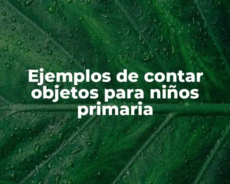 Ejemplos de contar objetos para niños primaria