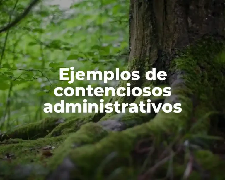 Ejemplos de contenciosos administrativos