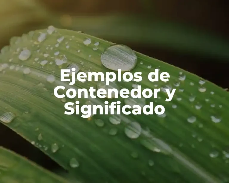 Ejemplos de Contenedor y Significado