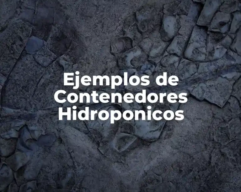 Ejemplos de Contenedores Hidroponicos