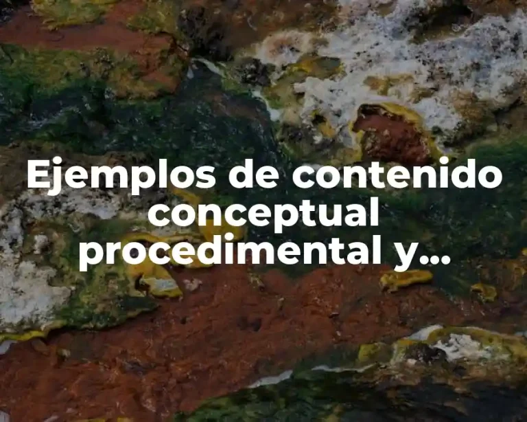 Ejemplos de contenido conceptual procedimental y actitudinal en ciencia