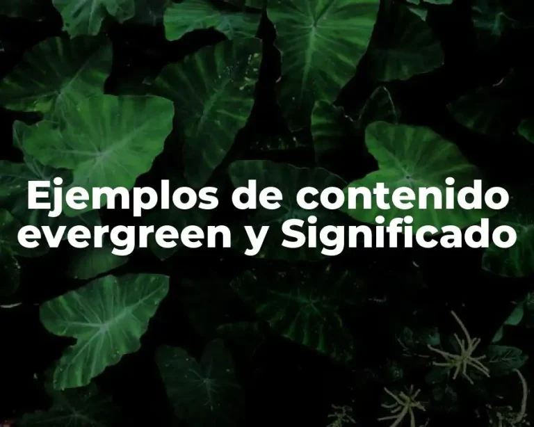 Ejemplos de contenido evergreen y Significado