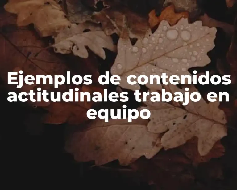 Ejemplos de contenidos actitudinales trabajo en equipo