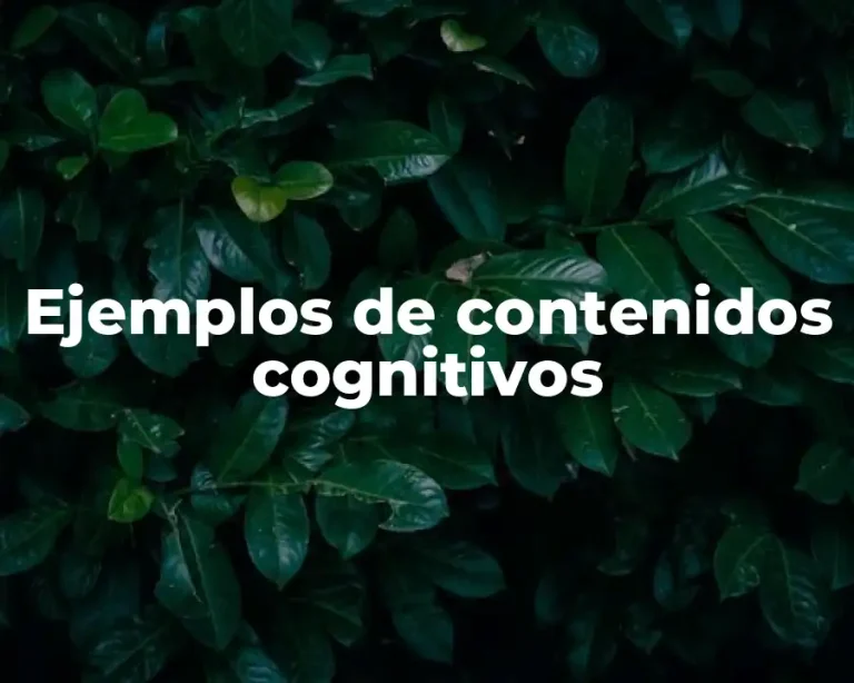 Ejemplos de contenidos cognitivos