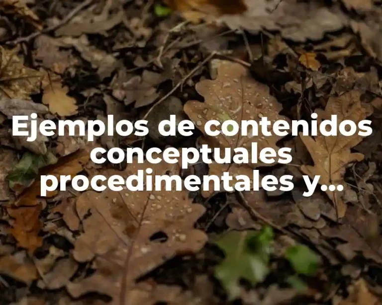 Ejemplos de contenidos conceptuales procedimentales y actitudinales y Significado