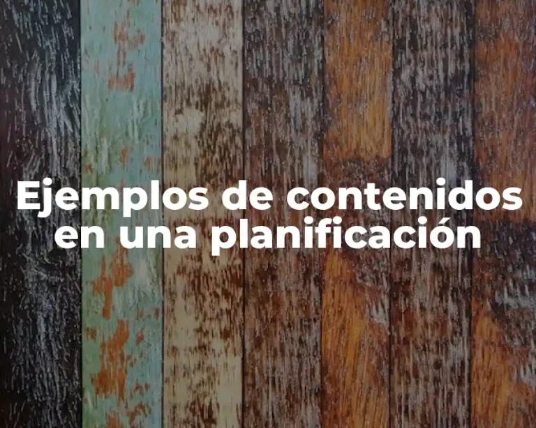 Ejemplos de contenidos en una planificación