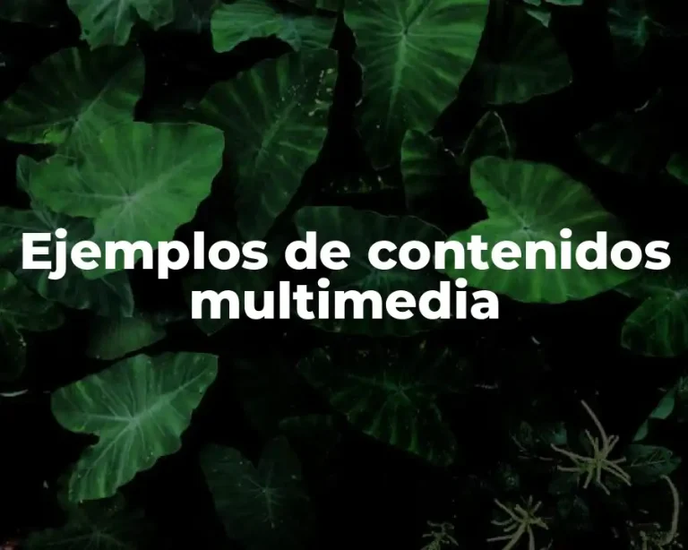 Ejemplos de contenidos multimedia