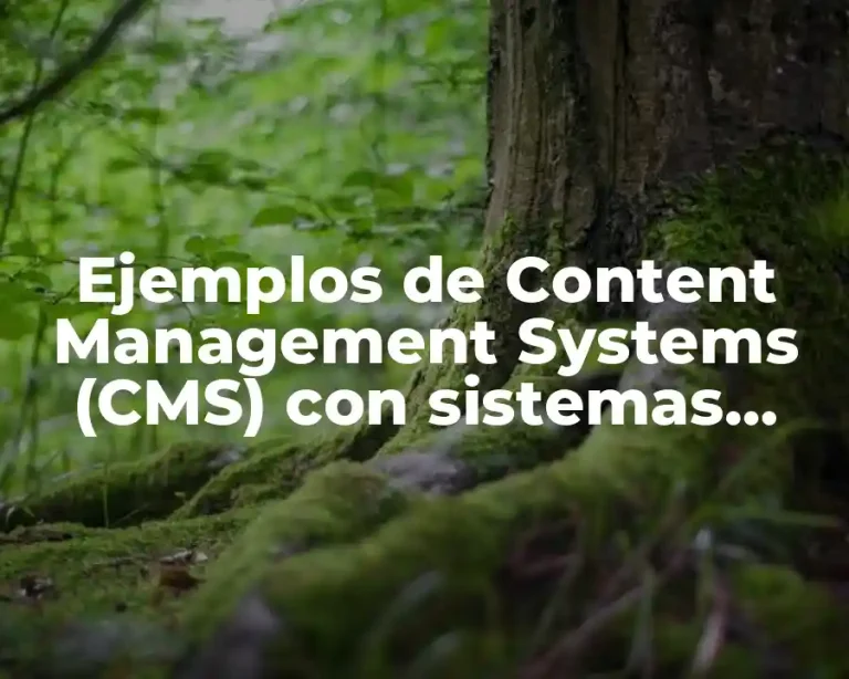 Ejemplos de Content Management Systems (CMS) con sistemas específicos
