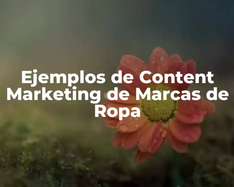Ejemplos de Content Marketing de Marcas de Ropa