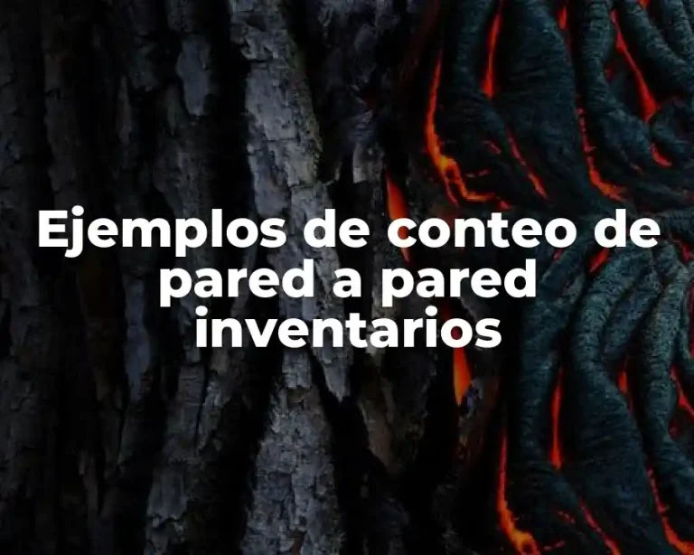 Ejemplos de conteo de pared a pared inventarios