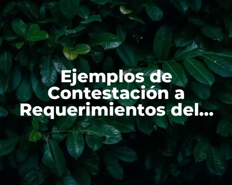 Ejemplos de Contestación a Requerimientos del IMSS