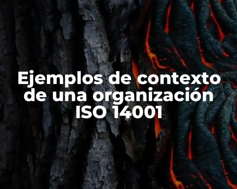 Ejemplos de contexto de una organización ISO 14001
