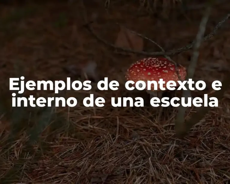 Ejemplos de contexto e interno de una escuela