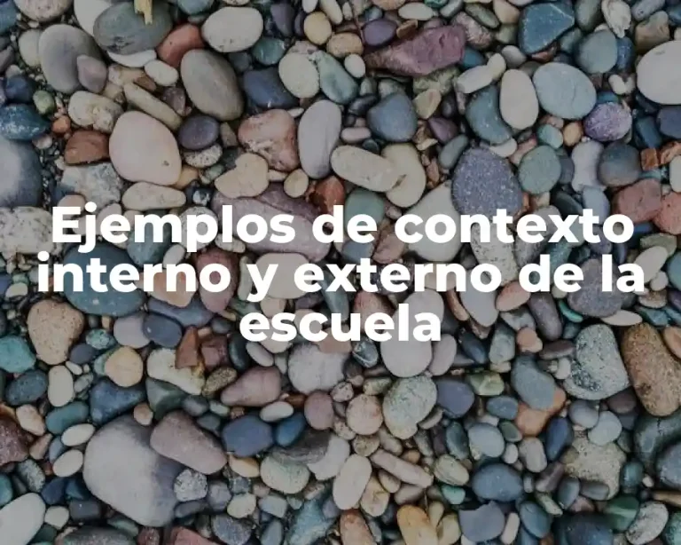 Ejemplos de contexto interno y externo de la escuela