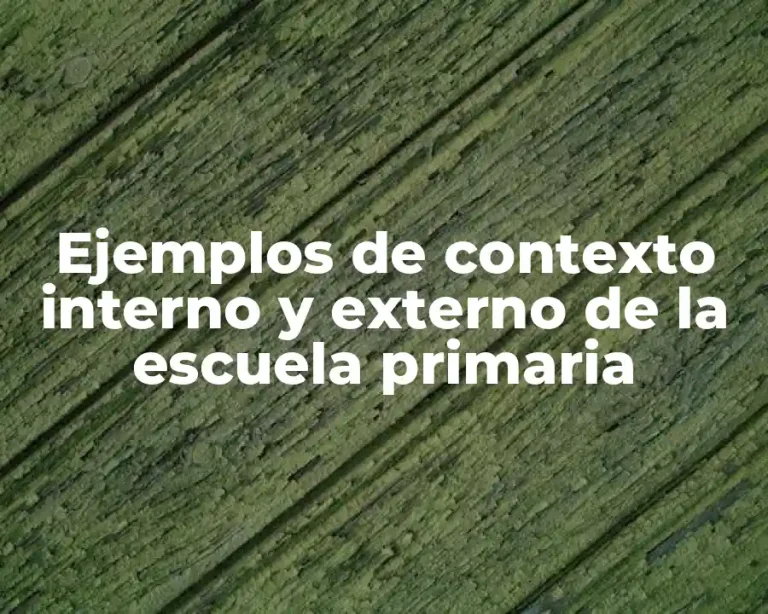 Ejemplos de contexto interno y externo de la escuela primaria