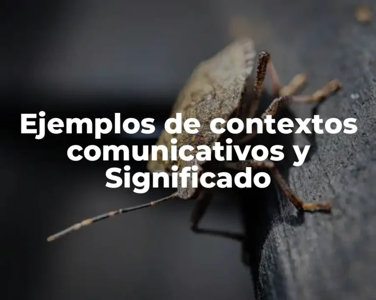 Ejemplos de contextos comunicativos y Significado