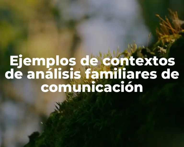 Ejemplos de contextos de análisis familiares de comunicación