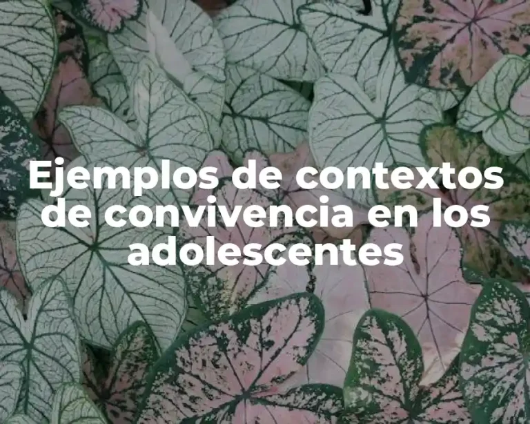 Ejemplos de contextos de convivencia en los adolescentes
