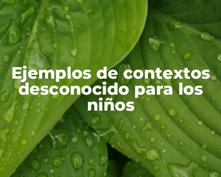 Ejemplos de contextos desconocido para los niños