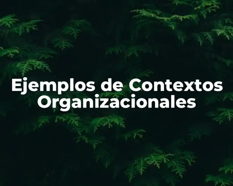 Ejemplos de Contextos Organizacionales