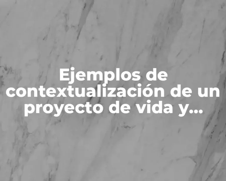 Ejemplos de contextualización de un proyecto de vida y Significado
