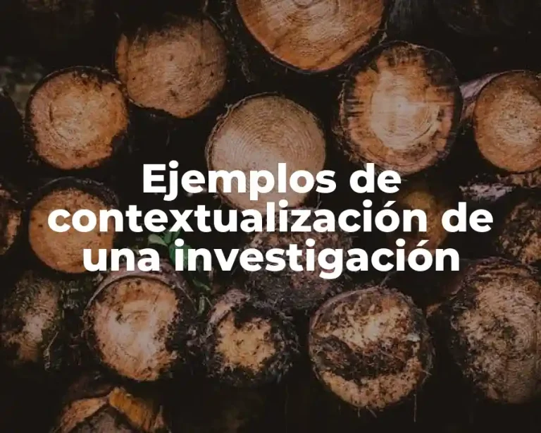 Ejemplos de contextualización de una investigación