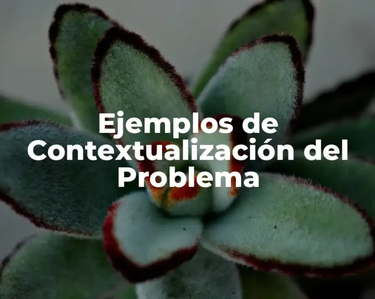 Ejemplos de Contextualización del Problema